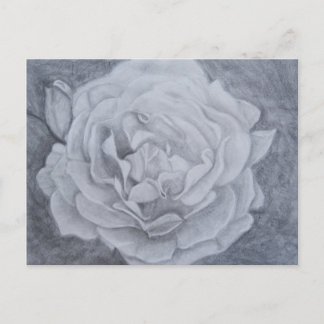 Carte Postale Rose dans Graphite