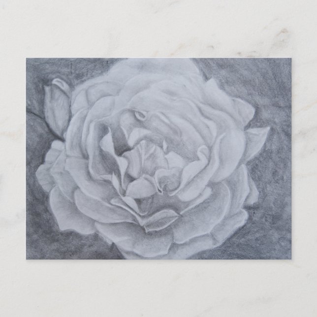Carte Postale Rose dans Graphite (Devant)