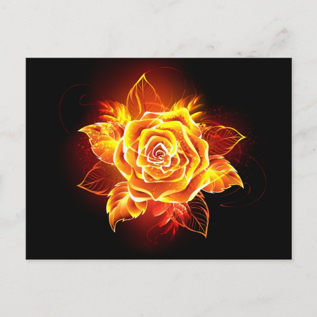 Carte Postale Rose de feu en fleurs (Devant)