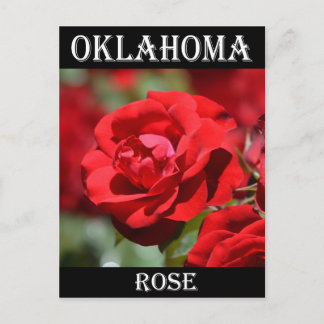 Carte Postale Rose de l'Oklahoma