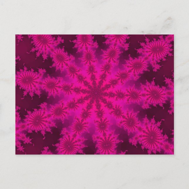 Carte postale rose Decasteer (Devant)
