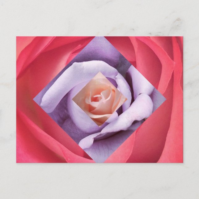 Carte postale rose Diamond (Devant)
