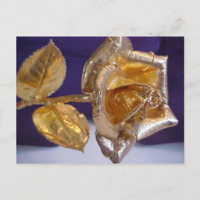 Carte Postale Rose d'or - amour éternel (Devant)