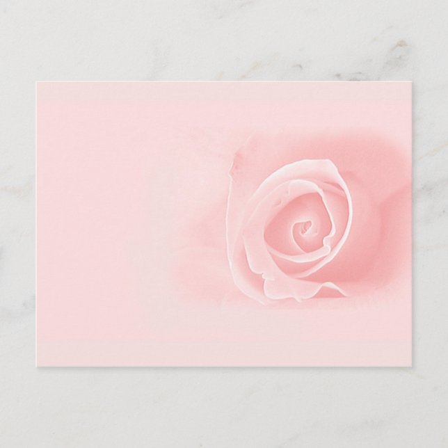 Carte Postale Rose douce (Devant)
