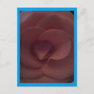 Carte Postale Rose Dragon