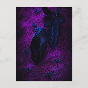 Carte Postale Rose éffrayant en matière noire, araignées noires