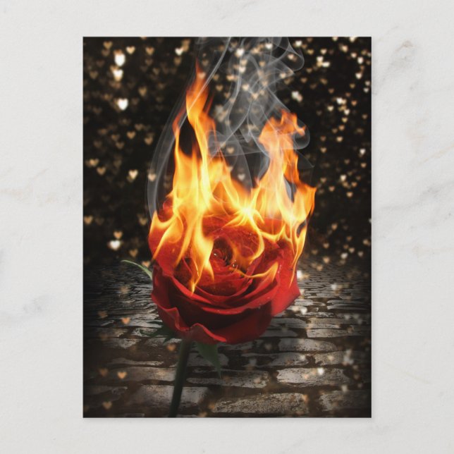 Carte Postale Rose en feu, Rose brûlé (Devant)