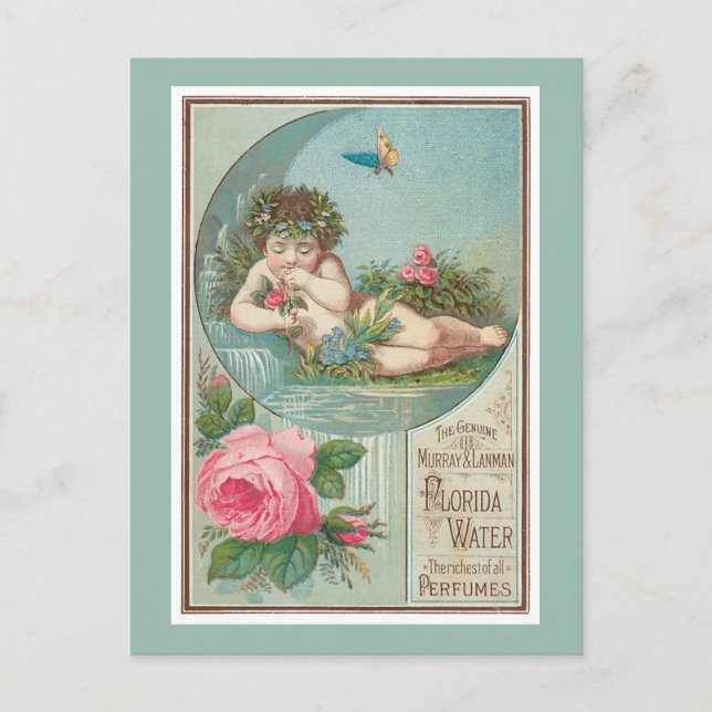 Carte Postale Rose et Cherub Florida Waters (Devant)