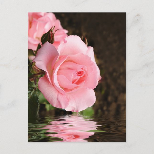 Carte Postale rose et eau (Devant)