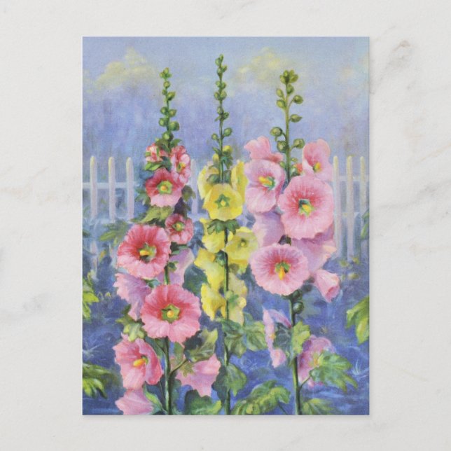 Carte Postale Rose et Jaune Hollyhock de Cargill, 1937 (Devant)