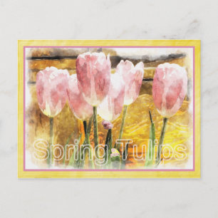 Carte Postale Rose et Jaune - Le printemps est pour les tulipes