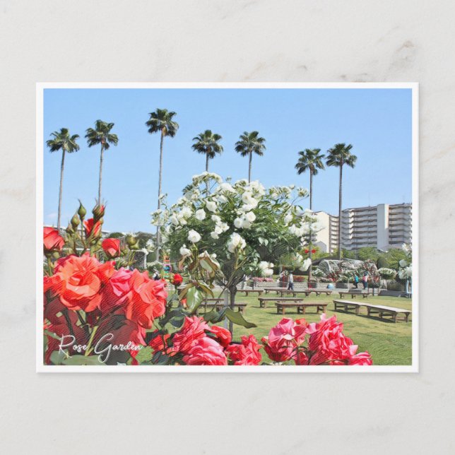 Carte Postale Rose Garden (Devant)