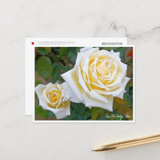 Carte Postale Rose Garden
