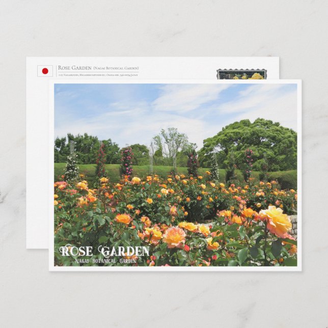Carte Postale Rose Garden (Nagai Botanical Garden) ポストカード (Devant / Derrière)