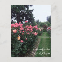 Rose Garden / Portland Oregon