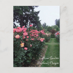 Carte Postale Rose Garden / Portland Oregon