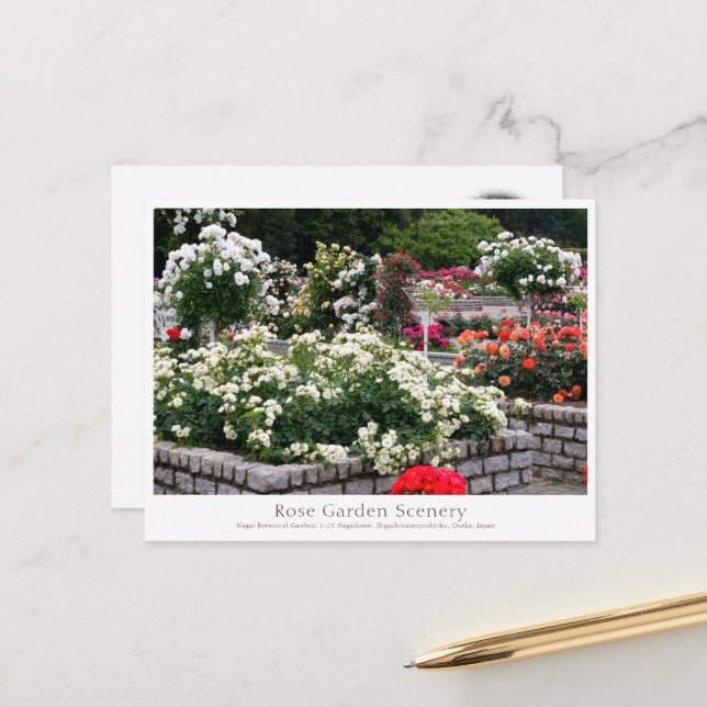 Carte Postale Rose Garden Scenery (Devant/Arrière en situation)