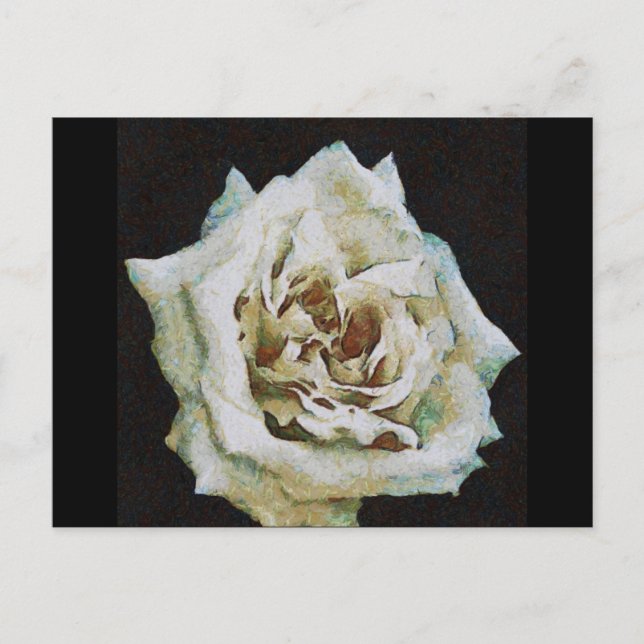 Carte Postale Rose impressionniste isolé sur noir (Devant)