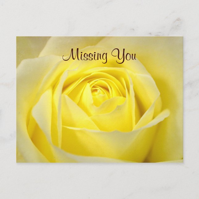 Carte postale rose jaune (Devant)