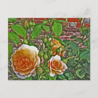 Carte Postale Rose jaune au jardin de Hampton Court