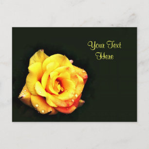 Carte Postale Rose jaune avec gouttes de pluie