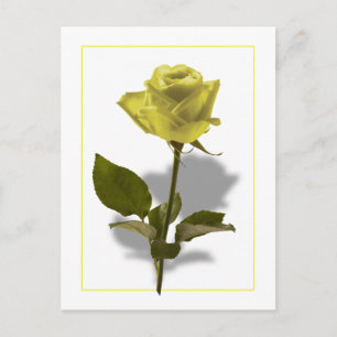 Carte Postale Rose jaune de l'amitié