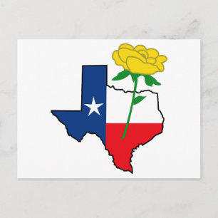Carte Postale Rose jaune du Texas