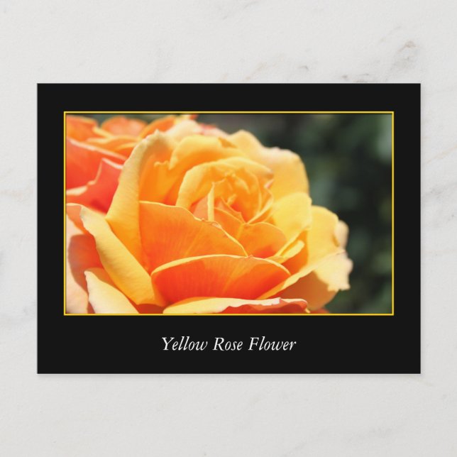 Carte Postale rose jaune fleur, amour et romance (Devant)