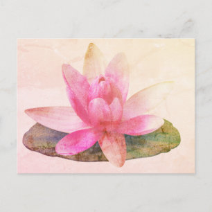 CARTE POSTALE ROSE LOTUS