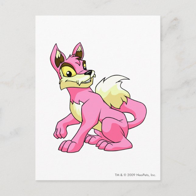 Carte Postale Rose Lupe (Devant)