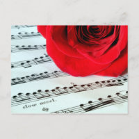 Rose & Musique - Amoureux de la musique