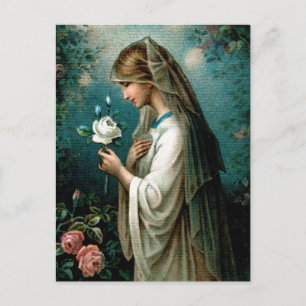 Carte postale : Rose mystique