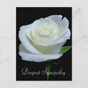 Carte Postale Rose noire et blanche florale Sympathie la plus pr