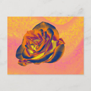 Carte postale Rose orange