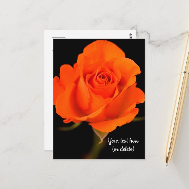 Carte postale rose orange simple (Devant/Arrière en situation)