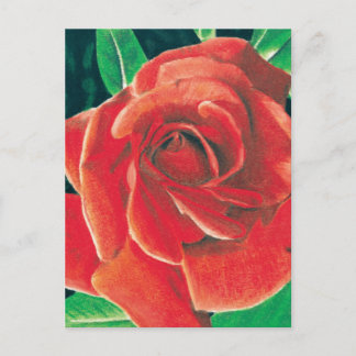 Carte postale rose par Jacob Grimm