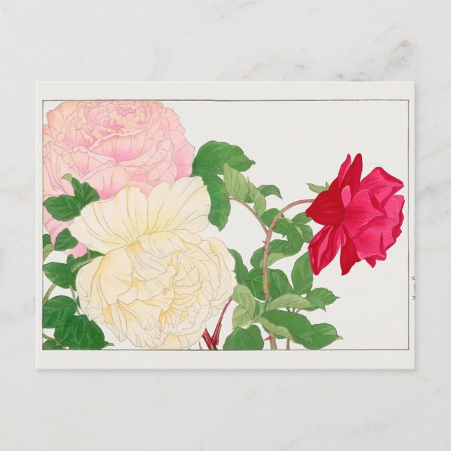 Carte Postale Rose par Tanigami Konan (Devant)