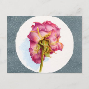 CARTE POSTALE ROSE PARCHÉ