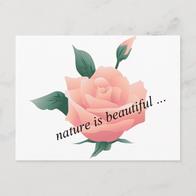 Carte Postale Rose (Pêche) - Belle nature (Devant)