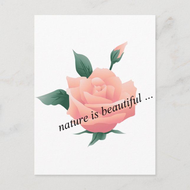 Carte Postale Rose (Pêche) - Belle nature (Devant)