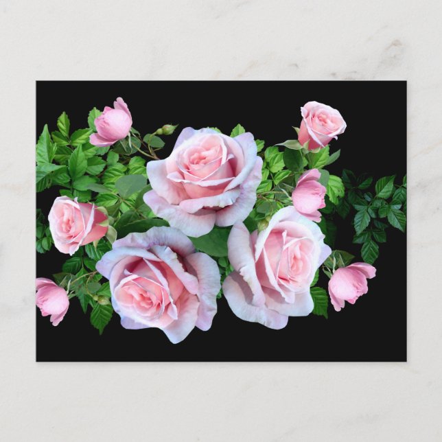 Carte Postale Rose rose (Devant)