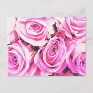 Carte Postale rose rose bunch flowers card