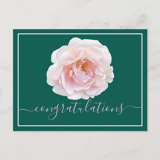 Carte Postale Rose Rose Cyan Arrière - plan Félicitations (Devant)