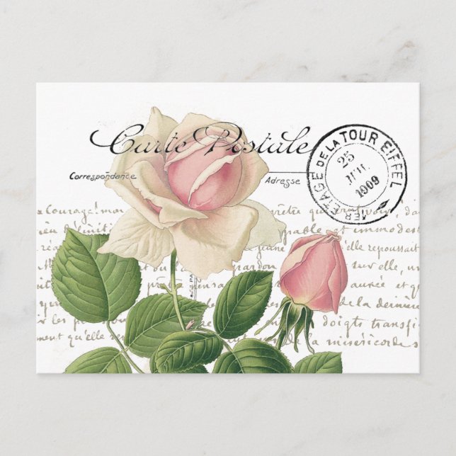 Carte Postale Rose Rose French Script Vintage (Devant)