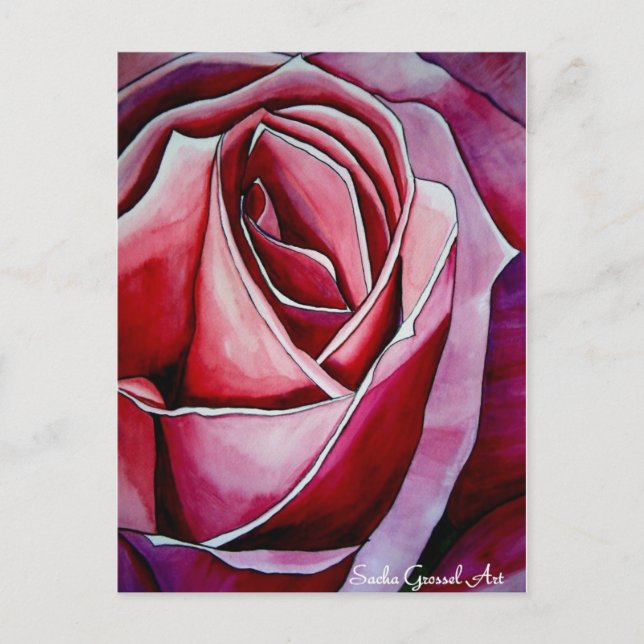 Carte Postale Rose rose macro fleur (Devant)