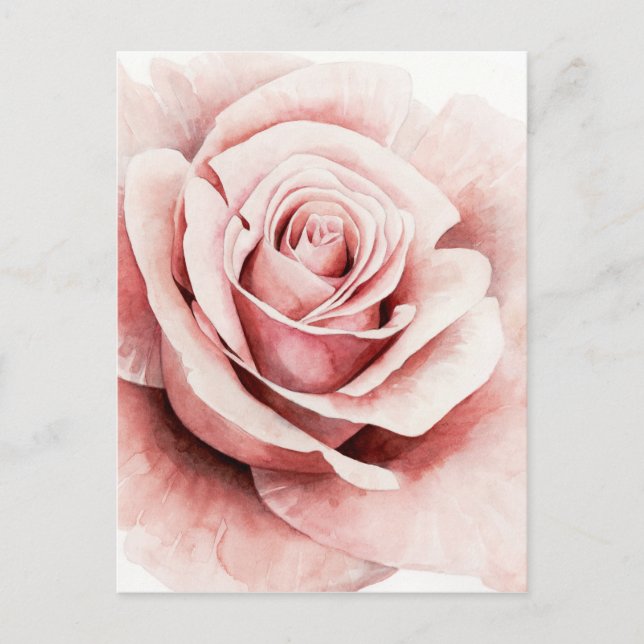Carte Postale Rose rose rose (Devant)