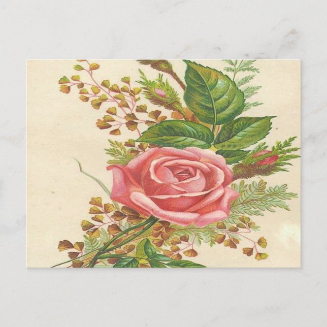 Carte Postale Rose rose vintage (Devant)
