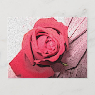 Carte Postale Rose rouge