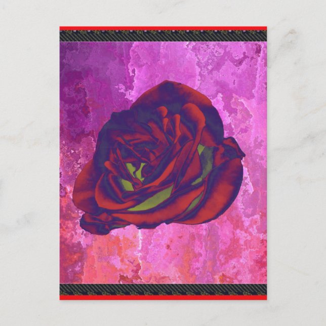 Carte postale Rose rouge (Devant)