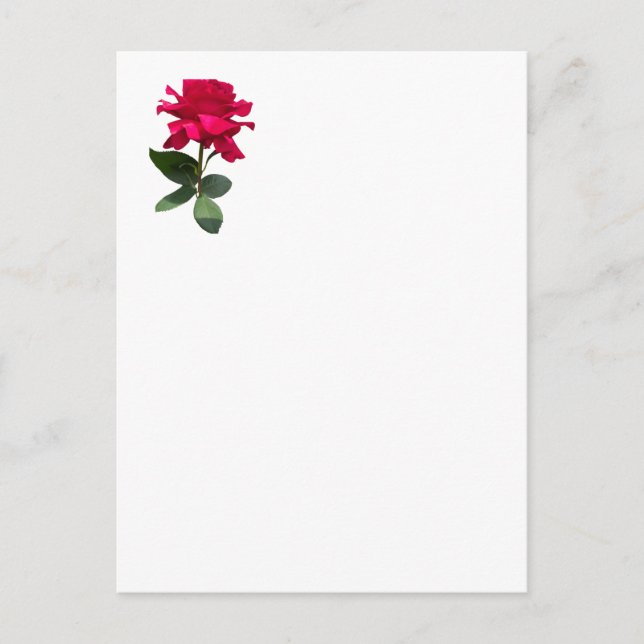 Carte Postale Rose rouge (Devant)